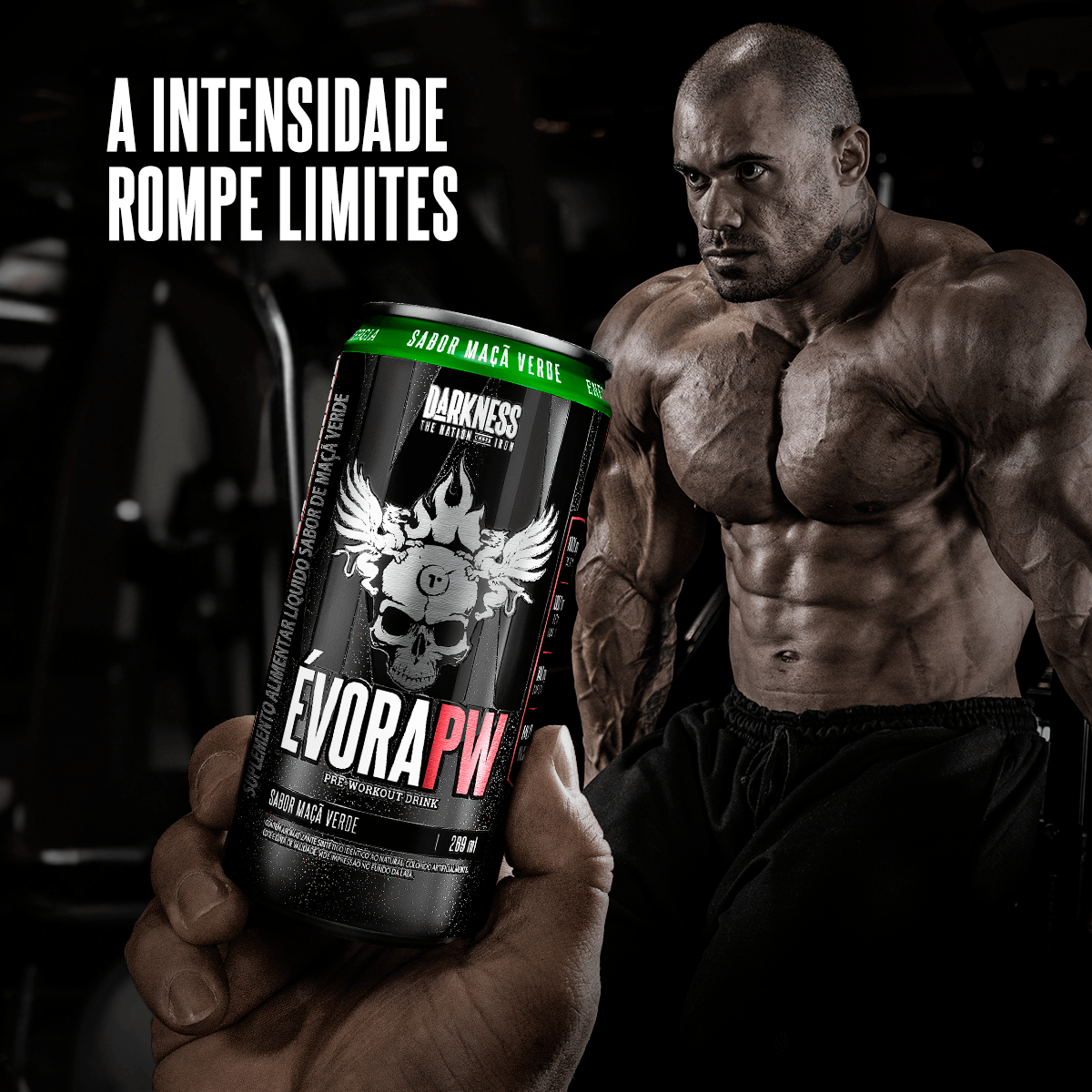 Évora Drink RTD Maça Verde 6 unid - 269 ml